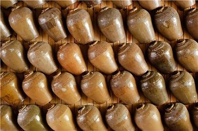 人气动漫《怪兽8号》将推游戏 登陆手机＆Steam平台